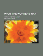 What The Workers Want: A Study of British Labor