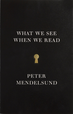 What We See When We Read - Mendelsund, Peter