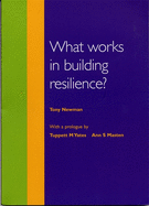 What Works in Building Resilience?