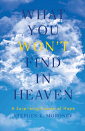 What You Won't Find in Heaven: A Surprising Source of Hope
