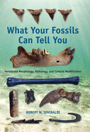 What Your Fossils Can Tell You: Vertebrate Morphology, Pathology, and Cultural Modification