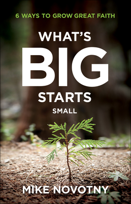 What's Big Starts Small: 6 Ways to Grow Great Faith - Novotny, Mike