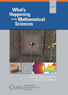 What's Happening in the Mathematical Sciences: Volume 13