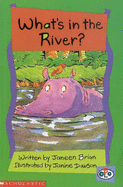 What's in the River?