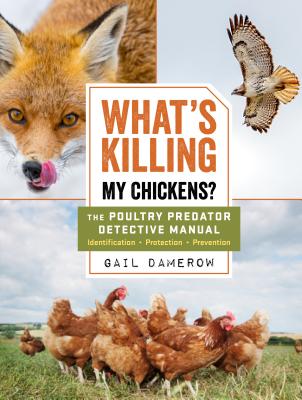 What's Killing My Chickens?: The Poultry Predator Detective Manual - Damerow, Gail