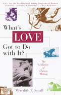 What's Love Got to Do with It?: The Evolution of Human Mating