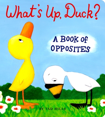 What's Up, Duck?: A Book of Opposites - 