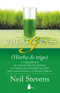 Wheatgrass: (Hierba de Trigo)