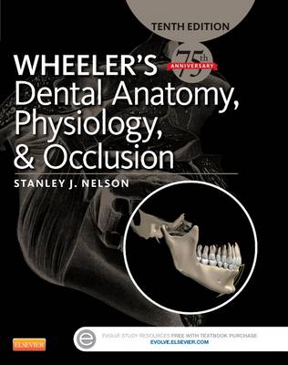 Wheeler's Dental Anatomy, Physiology and Occlusion - Nelson, Stanley J, Dds, MS