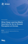 When Deep Learning Meets Geometry for Air-to-Ground Perception on Drones