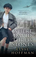Where David Threw Stones