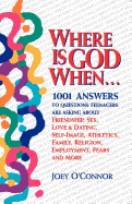 Where is God When--: 1001 Answers to Questions Teenagers Are Asking about Friendship, Sex, Love...