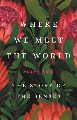 Where We Meet the World: The Story of the Senses - Ward, Ashley