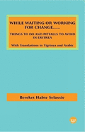 While Waiting or Working for Change: Things to Do and Pitfalls to Avoid in Eritrea