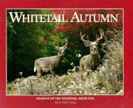 Whitetail Autumn - Ozoga, John J