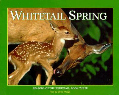 Whitetail Spring - Ozoga, John J