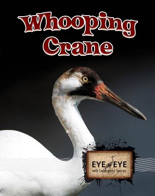 Whooping Cranes - McKenzie, Precious