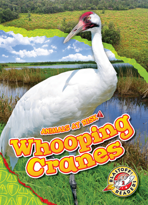 Whooping Cranes - Grack, Rachel