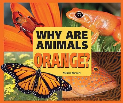 Why Are Animals Orange? - Stewart, Melissa