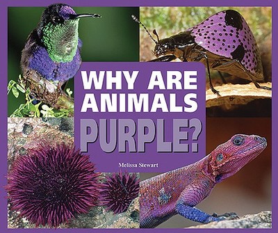 Why Are Animals Purple? - Stewart, Melissa