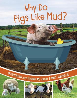 Why Do Pigs Like Mud?: Questions and Answers About Farm Animals - Rawson, Katherine