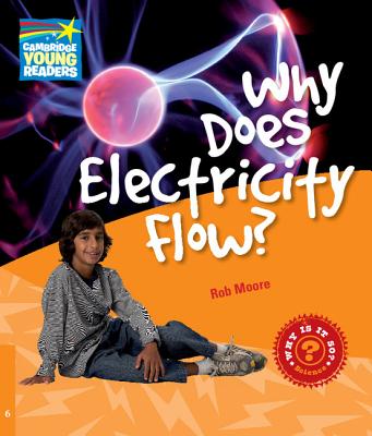 Why Does Electricity Flow? Level 6 Factbook - Moore, Rob