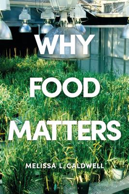 Why Food Matters: Critical Debates in Food Studies - Caldwell, Melissa (Editor)