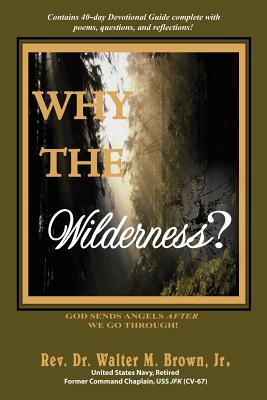 Why the Wilderness?: God Sends Angels After We Go Through! - Brown, Walter M, Jr.