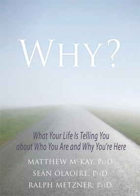 Why?: What Your Life Is Telling You about Who You Are and Why You're Here - McKay, Matthew, Dr., PhD, and laoire, Sen, PhD, and Metzner, Ralph, PhD