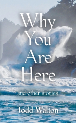 Why You Are Here: and other stories - Walton, Todd