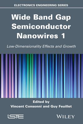 Wide Band Gap Semiconductor Nanowires 1: Low-Dimensionality Effects and Growth - Consonni, Vincent (Editor), and Feuillet, Guy (Editor), and Baptist, Robert (Editor)