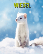 Wiesel: Unterhaltsames und lehrreiches Buch fr Kinder mit erstaunlichen Fakten und Bildern
