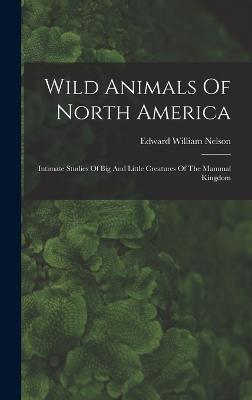 Wild Animals Of North America: Intimate Studies Of Big And Little Creatures Of The Mammal Kingdom - Nelson, Edward William