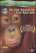Wild Asia: In the Realm of the Red Ape - Jeremy Hogarth; Stephen Downes