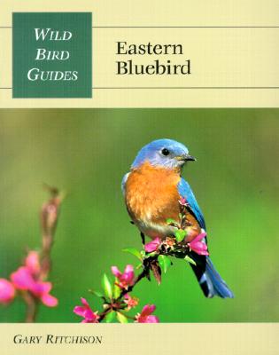 Wild Bird Guide: Eastern Bluebird - Ritchison, Gary
