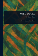 Wild Ducks