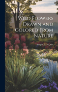 Wild flowers drawn and colored from nature