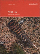 Wild Life: Walks in the Cairngorms - Fulton, Hamish