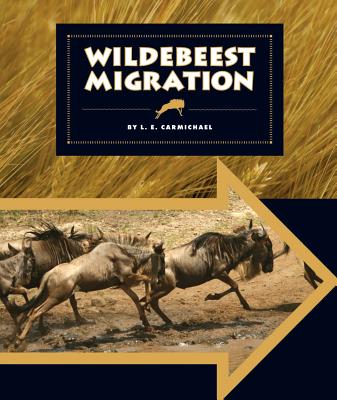 Wildebeest Migration - Carmichael, L E