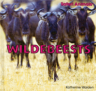 Wildebeests