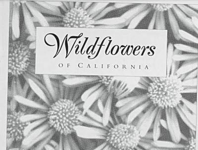 Wildflowers of California - Ulrich, Larry (Photographer), and Lamb, Susan, and Lamb, Susan (Text by)