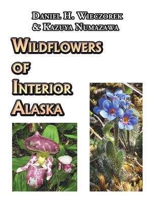 Wildflowers of Interior Alaska - Wieczorek, Daniel H, and Numazawa, Kazuya