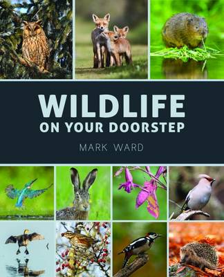 Wildlife on Your Doorstep - Ward, Mark