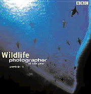 Wildlife Photographer of the Year: Portfolio 11 - Levin, Anna, and Packham, Chris, and BBC Books