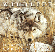 Wildlife the Nature Paintings of Carl Brenders - Brenders, Carl