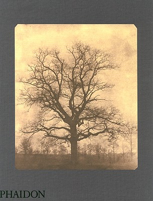 William Henry Fox Talbot - Batchen, Geoffrey