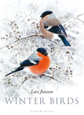 Winter Birds - Jonsson, Lars