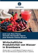 Wirtschaftliche Produktivit?t von Wasser in Brombeere