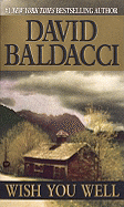 Wish You Well - Baldacci, David