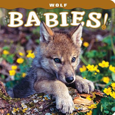 Wolf Babies! - Husar, Lisa (Photographer), and Husar, Mike (Photographer)